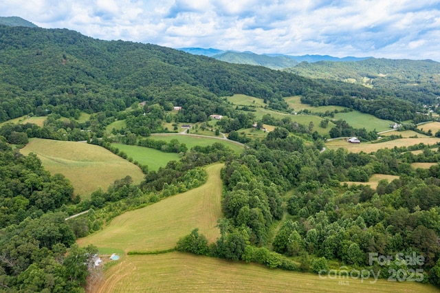 00 Potato Branch Rd, Leicester, NC 28748