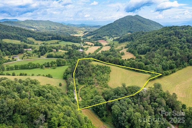 00 Potato Branch Rd, Leicester, NC 28748