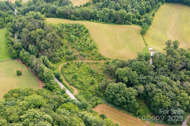 00 Potato Branch Rd, Leicester, NC 28748