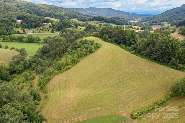 00 Potato Branch Rd, Leicester, NC 28748