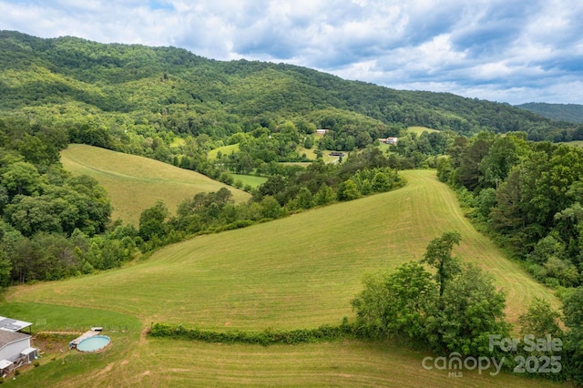 00 Potato Branch Rd, Leicester, NC 28748