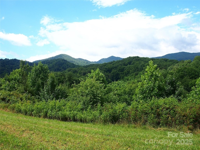 00 Potato Branch Rd, Leicester, NC 28748