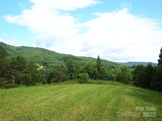 00 Potato Branch Rd, Leicester, NC 28748