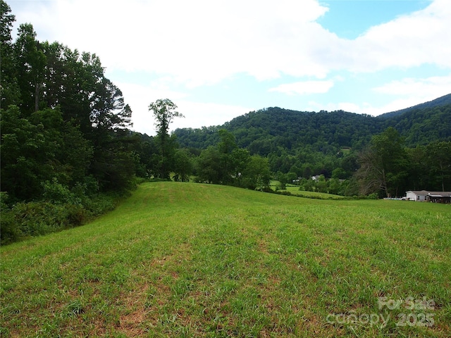00 Potato Branch Rd, Leicester, NC 28748