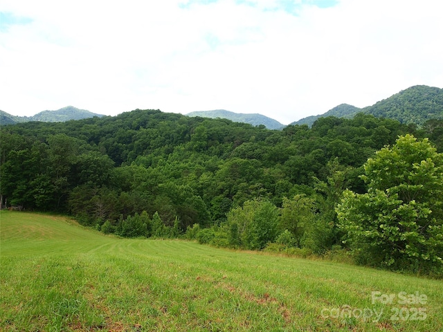00 Potato Branch Rd, Leicester, NC 28748