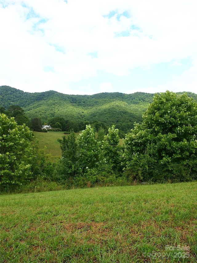 00 Potato Branch Rd, Leicester, NC 28748
