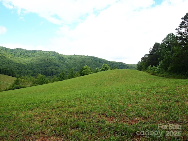00 Potato Branch Rd, Leicester, NC 28748