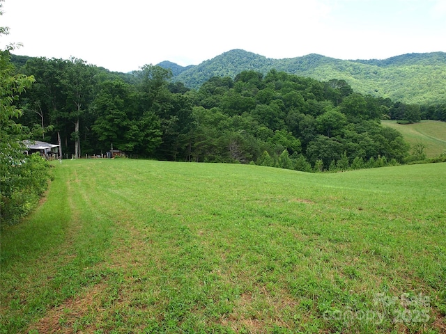 00 Potato Branch Rd, Leicester, NC 28748