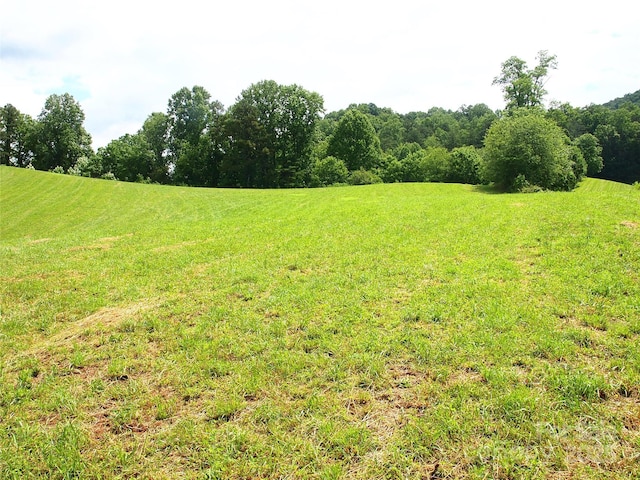 00 Potato Branch Rd, Leicester, NC 28748