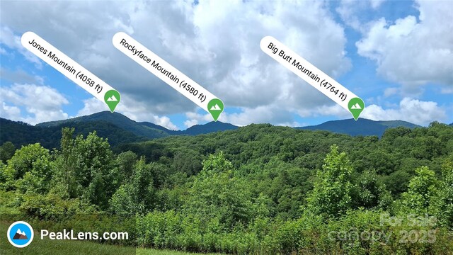 00 Potato Branch Rd, Leicester, NC 28748