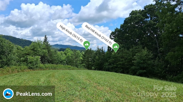 00 Potato Branch Rd, Leicester, NC 28748