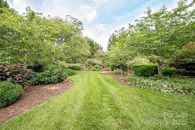 2019 Heirloom Ct, Matthews, NC 28104 - view of grassy yard