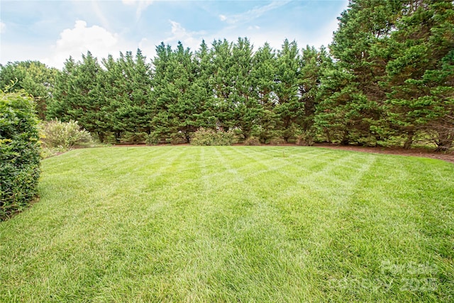 2019 Heirloom Ct, Matthews, NC 28104 - view of grassy yard