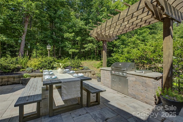 17537 Caddy Ct, Charlotte, NC 28278 - view of patio with outdoor dining area, area for grilling, and a pergola