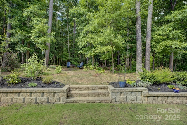 17537 Caddy Ct, Charlotte, NC 28278 - view of yard