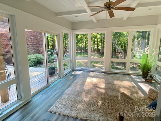7408 Mockingbird Ln, Waxhaw, NC 28173 - photo 24