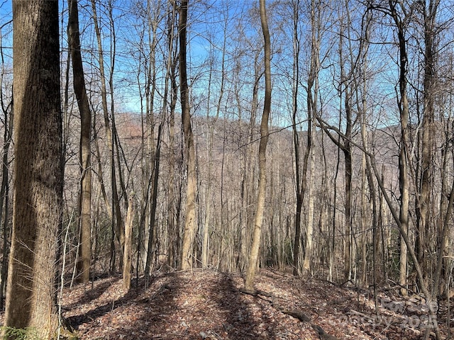 TBD Country Club Rd, Tryon, NC 28782