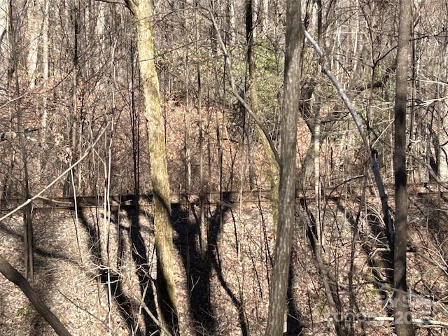 TBD Country Club Rd, Tryon, NC 28782