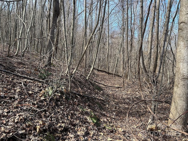 TBD Country Club Rd, Tryon, NC 28782