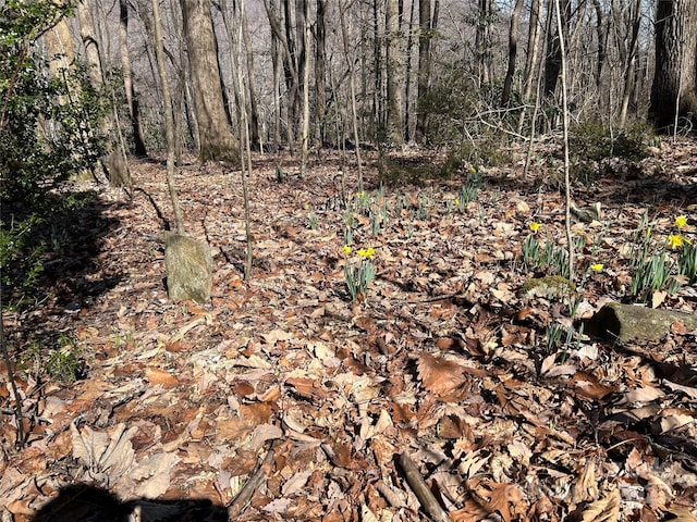 TBD Country Club Rd, Tryon, NC 28782