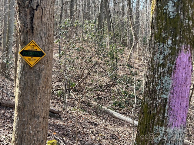 TBD Country Club Rd, Tryon, NC 28782
