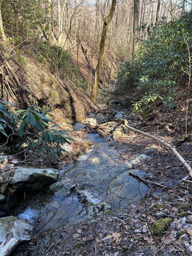 TBD Country Club Rd, Tryon, NC 28782