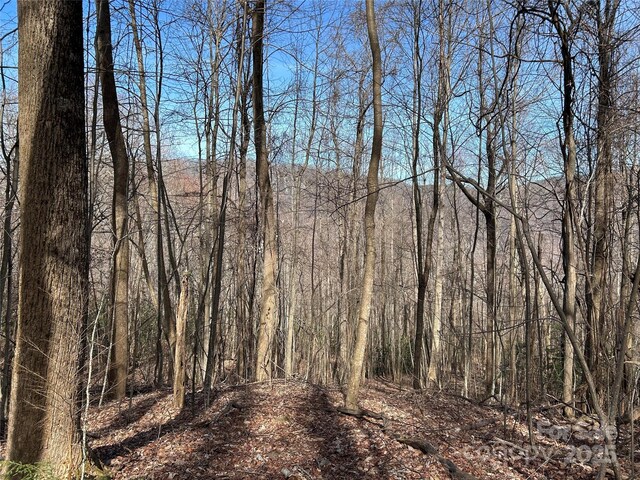 TBD Country Club Rd, Tryon, NC 28782