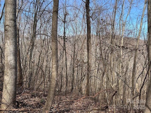 TBD Country Club Rd, Tryon, NC 28782