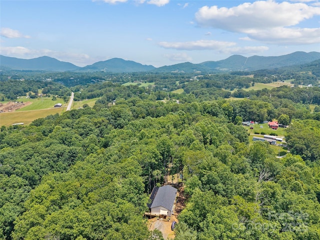 54 Bittersweet Trl, Canton, NC 28716 - photo 3