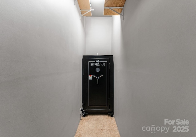 4536 Rustling Woods Dr, Denver, NC 28037 - detailed view of carpet flooring