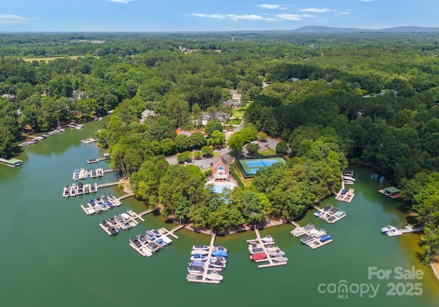 4536 Rustling Woods Dr, Denver, NC 28037 - aerial view of numerous boat docks and a nearby body of water