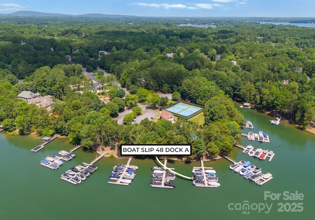 4536 Rustling Woods Dr, Denver, NC 28037 - drone / aerial view of a forest and numerous boat docks