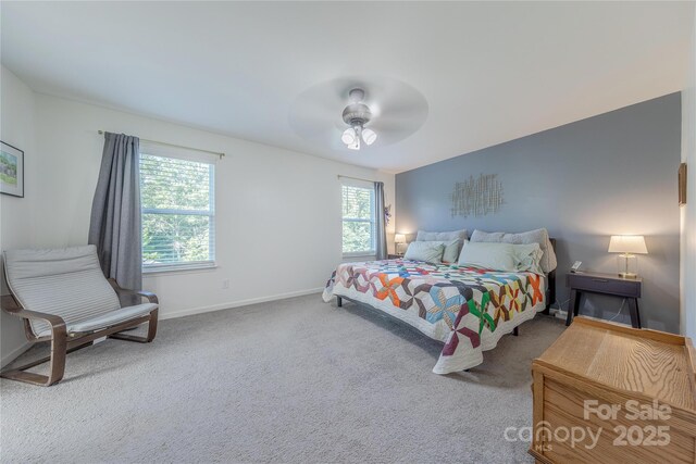 4113 Bent Green Ln, Monroe, NC 28112 - bedroom featuring carpet flooring and a ceiling fan