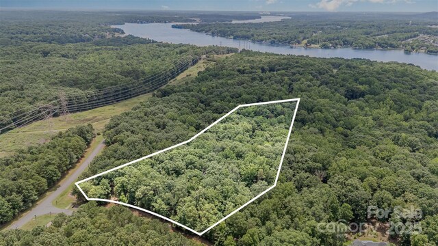 14229 Roe Buck Meadow Ln, Charlotte, NC 28278 - photo 12