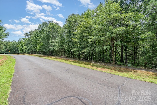 14229 Roe Buck Meadow Ln, Charlotte, NC 28278 - photo 14