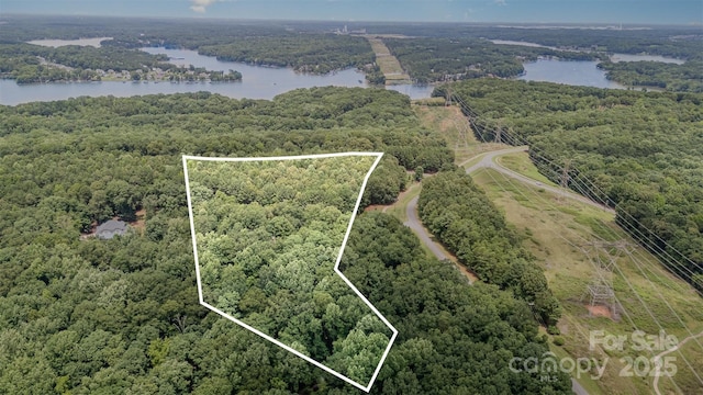 14229 Roe Buck Meadow Ln, Charlotte, NC 28278 - photo 17