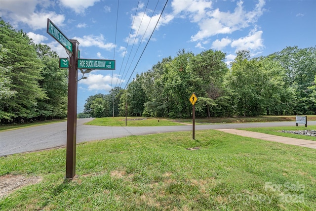 14229 Roe Buck Meadow Ln, Charlotte, NC 28278 - photo 33