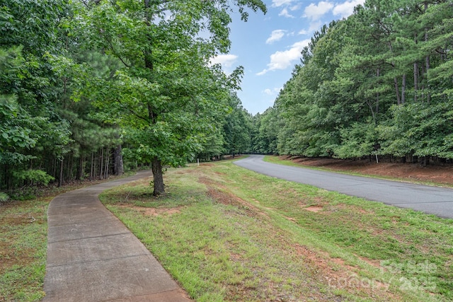 14229 Roe Buck Meadow Ln, Charlotte, NC 28278 - photo 34