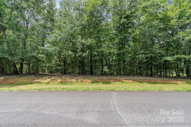14229 Roe Buck Meadow Ln, Charlotte, NC 28278 - photo 36