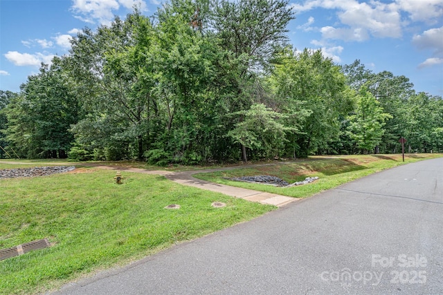 14229 Roe Buck Meadow Ln, Charlotte, NC 28278 - photo 37