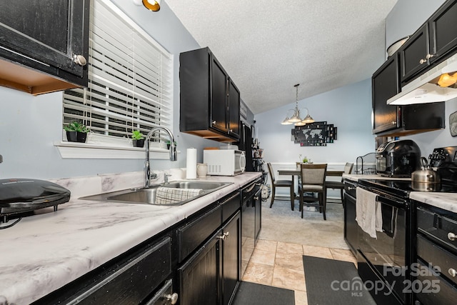 704 Willow Rd, Salisbury, NC 28147 - kitchen featuring black appliances, light carpet, exhaust hood, lofted ceiling, and dark cabinetry