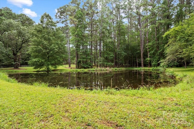 307 E Allenton St, Mount Gilead, NC 27306 - view of woods with a water view