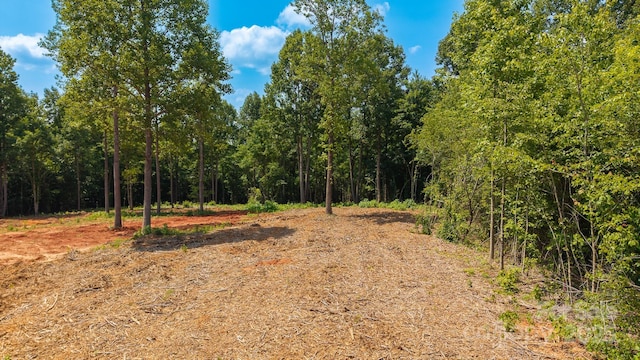 1853 Hill River Rd Unit 1, Hiddenite, NC 28636 - view of woods