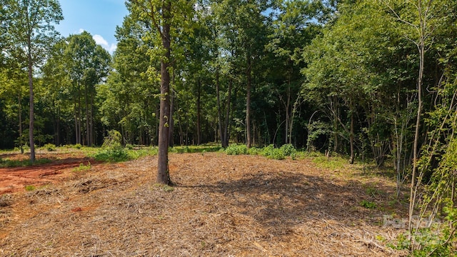 1853 Hill River Rd Unit 1, Hiddenite, NC 28636 - view of woods