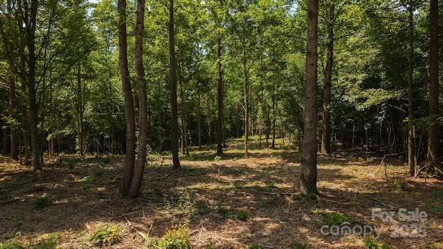1853 Hill River Rd Unit 1, Hiddenite, NC 28636 - view of tree filled area