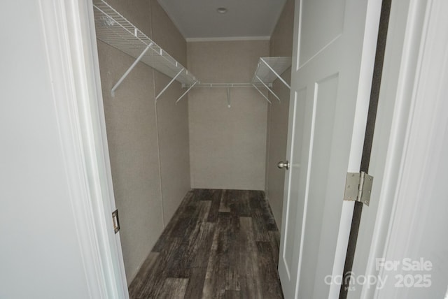 1853 Hill River Rd Unit 1, Hiddenite, NC 28636 - walk in closet featuring dark wood-style floors