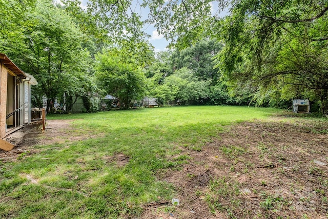 822 Cantwell St, Charlotte, NC 28208 - view of green lawn