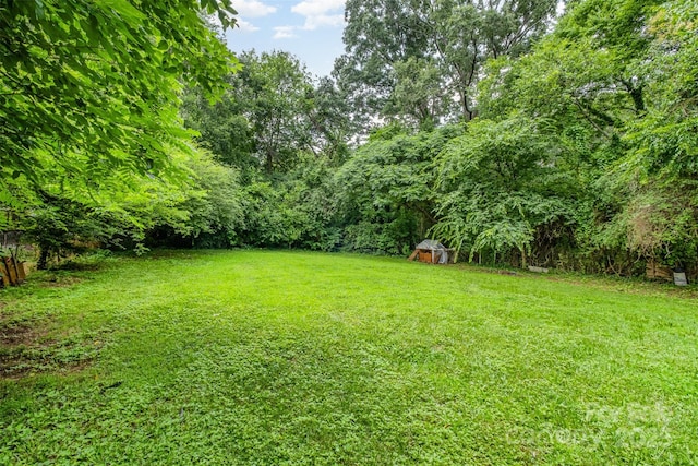 822 Cantwell St, Charlotte, NC 28208 - view of green lawn with a shed