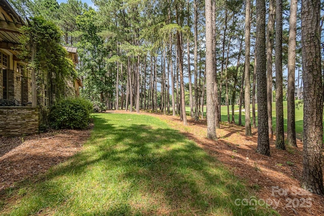 177 Yadkin Falls Rd, New London, NC 28127 - view of grassy yard