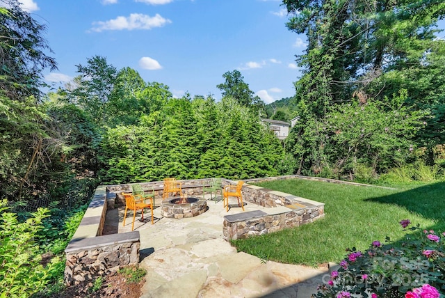 200 Aurora Dr, Asheville, NC 28805 - photo 24